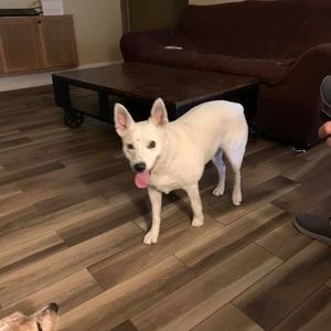 Meet your Posher, Crystal